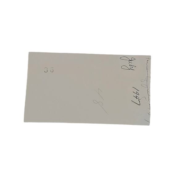 Vtg Photo of Garden Walkway Original Monochrome Photography Found Landscape - Picture 4 of 4